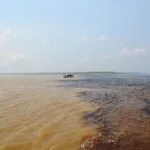 Explore a Amazônia com Manaus Jungle Tours - Passeios Inesquecíveis em Manaus. Um dos maiores e mais fascinantes ecossistemas do planeta.