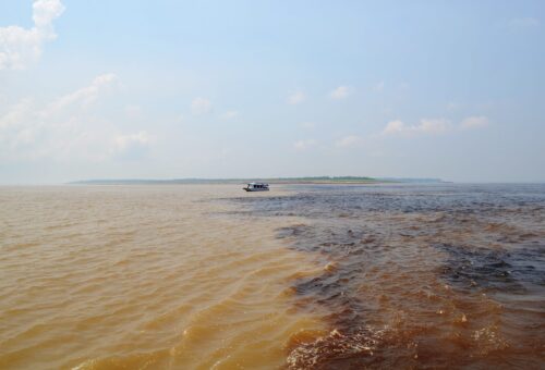 Explore a Amazônia com Manaus Jungle Tours - Passeios Inesquecíveis em Manaus. Um dos maiores e mais fascinantes ecossistemas do planeta.