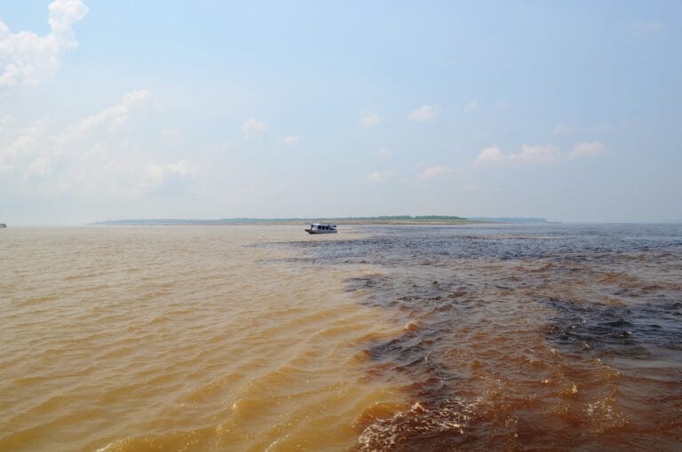 Explore a Amazônia com Manaus Jungle Tours - Passeios Inesquecíveis em Manaus. Um dos maiores e mais fascinantes ecossistemas do planeta.