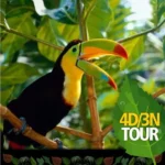 Enjoy Adventure Trips in Manaus with the Leading Tour Service Provider. The Amazon is undoubtedly one of the largest...