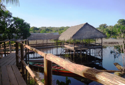 Experience And Enjoy Jungle Survival In Manaus With Experts. The duration of Amazon Jungle Tours typically ranges...