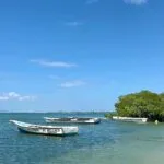 Excursão para a Ilha de Margarita: Pacotes All Inclusive saindo de Manaus. Imagine um verdadeiro paraíso caribenho, cercado por praias...