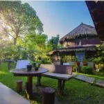 Descubra o Amazon Turtle Lodge, o destino ideal para quem busca ecoturismo na Amazônia com conforto, aventura e sustentabilidade!