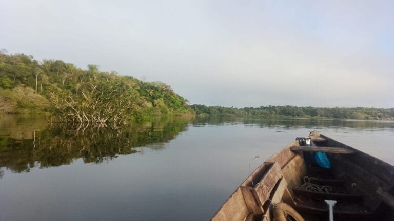 Pacotes Incríveis de Turismo para Novo Airão. um verdadeiro paraíso escondido no coração da Amazônia. Banhado pelo majestoso Rio Negro.