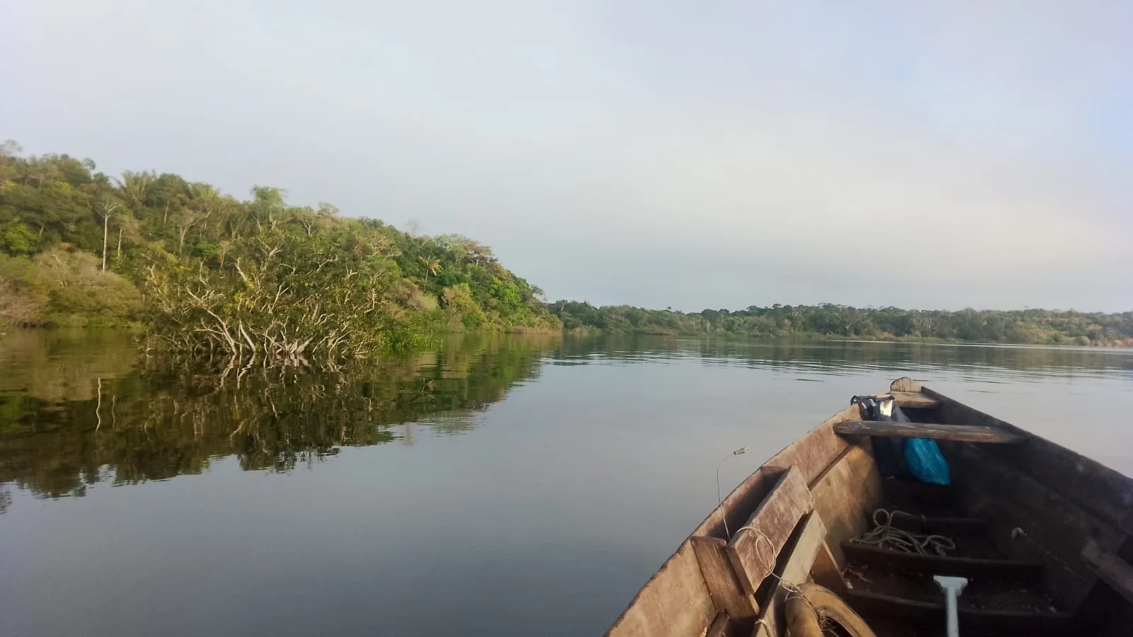 Pacotes Incríveis de Turismo para Novo Airão. um verdadeiro paraíso escondido no coração da Amazônia. Banhado pelo majestoso Rio Negro.