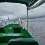 Tour em Anavilhanas saindo de Manaus: Pescaria de Piranha, Banho no Rio Negro. Já imaginou explorar a Amazônia em um dia repleto de emoções?