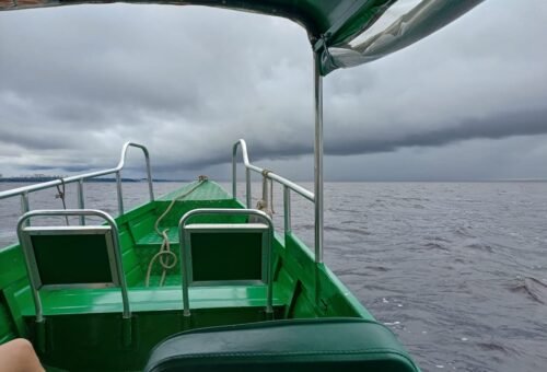 Tour em Anavilhanas saindo de Manaus: Pescaria de Piranha, Banho no Rio Negro. Já imaginou explorar a Amazônia em um dia repleto de emoções?