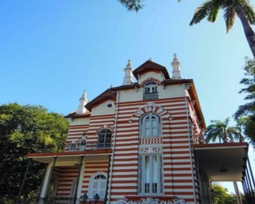 Excursions et Tours à Manaus – Manaus Jungler Tours : Aventure et Tourisme en Amazonie