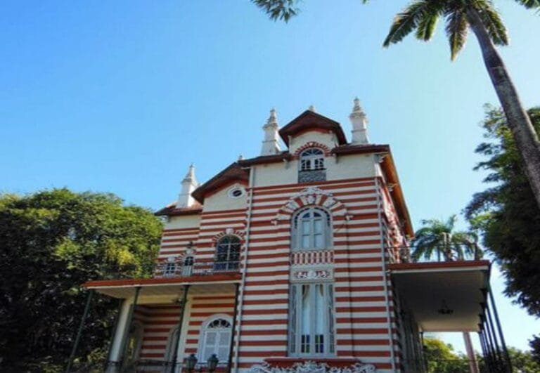 Excursions et Tours à Manaus – Manaus Jungler Tours : Aventure et Tourisme en Amazonie