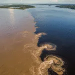 Как пережить Слияние вод в Манаусе незабываемо