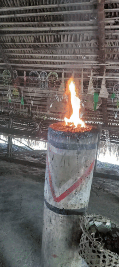 Carnival in the Amazon: A Mystical Experience in the Forest with the Sahus, Kubewas, Tucanos, and Dessanas Peoples