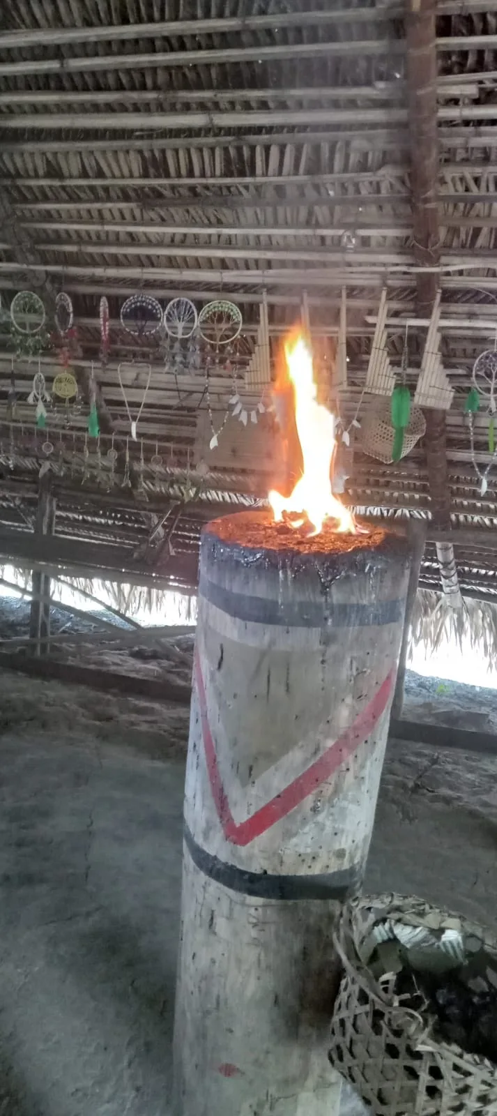 Carnival in the Amazon: A Mystical Experience in the Forest with the Sahus, Kubewas, Tucanos, and Dessanas Peoples