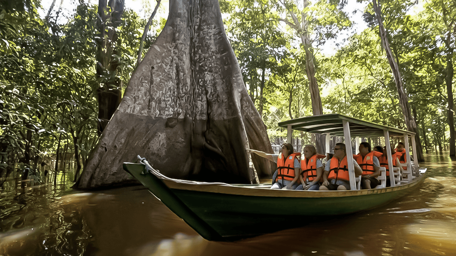 Parque Ecológico Janauari: Venha conhecer a essência viva da Amazônia