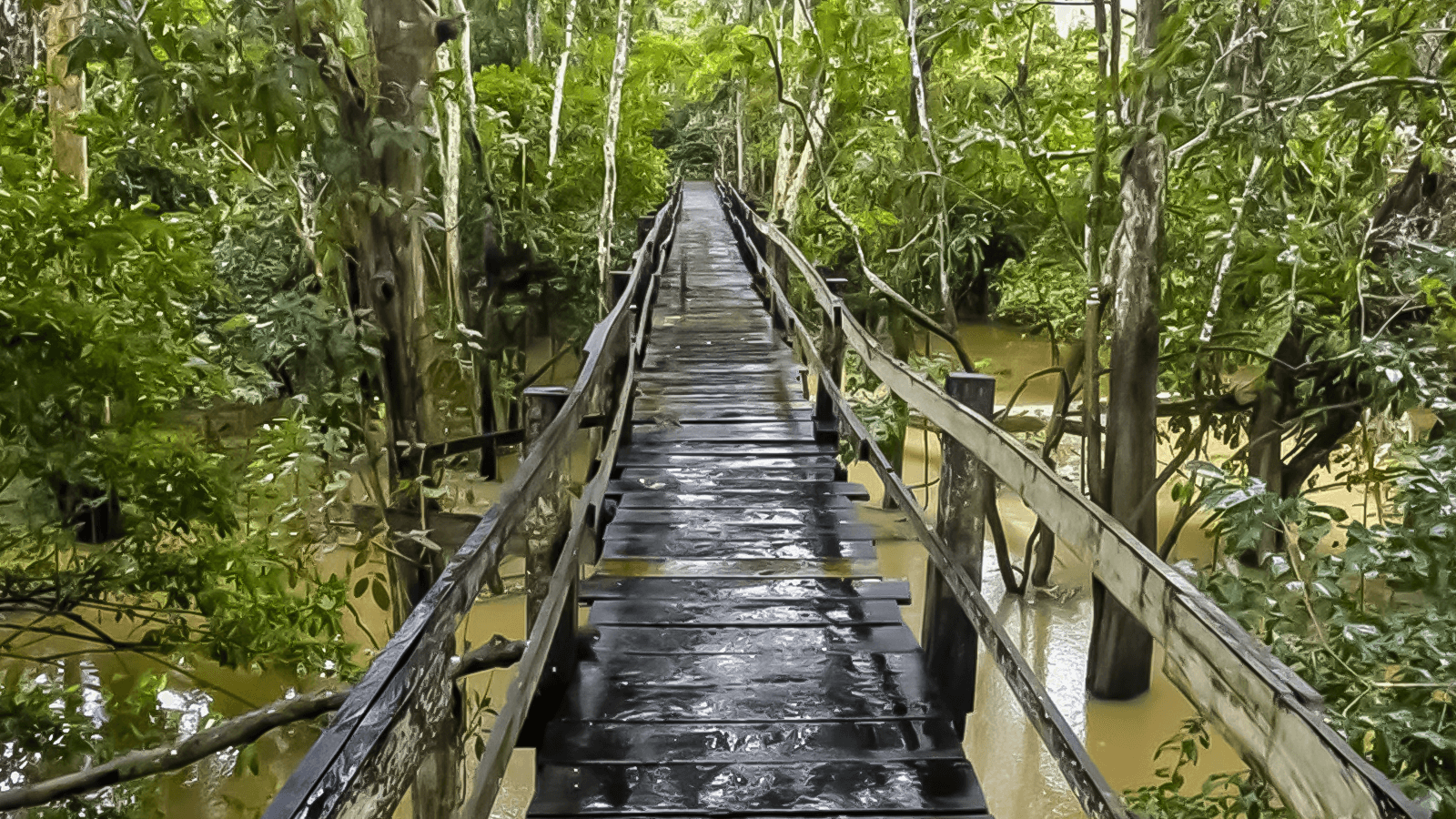 Parque Ecológico Janauari: Venha conhecer a essência viva da Amazônia