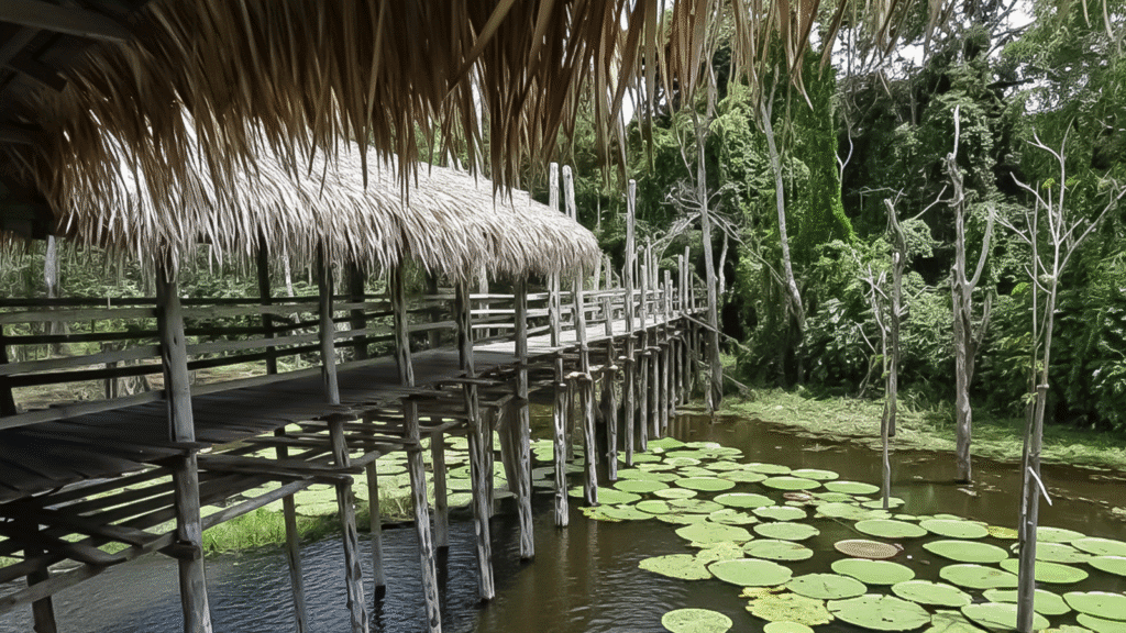 Parque Ecológico Janauari: Venha conhecer a essência viva da Amazônia