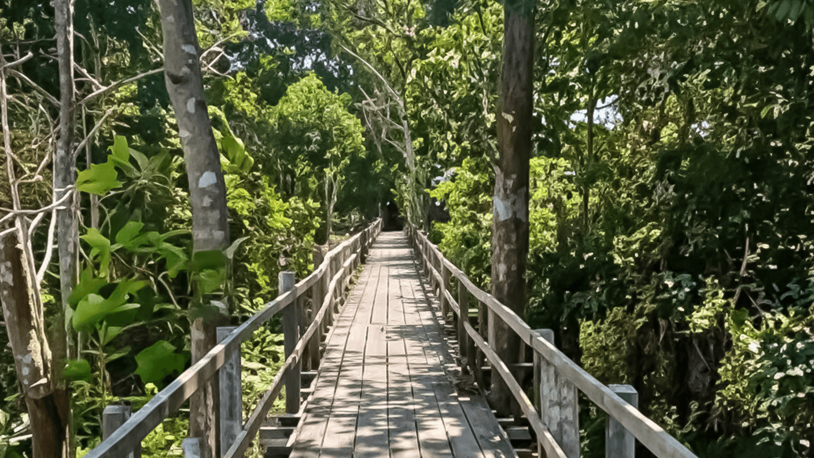 Parque Ecológico Janauari: Venha conhecer a essência viva da Amazônia