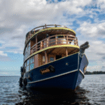 亚马逊船游:深入宁静的森林体验