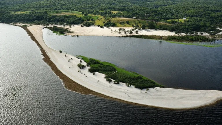 Spiaggia della Luna: Rifugio Naturale Vicino a Manaus