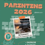 Festival de Parintins 2026 Uma experiência amazônica única como você nunca viu