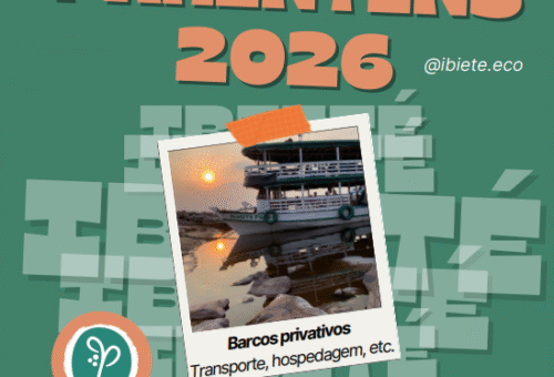 Festival de Parintins 2026 Uma experiência amazônica única como você nunca viu