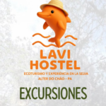 Excursiones en Santarém Qué Hacer, Principales Rutas y Experiencias en la Amazonía