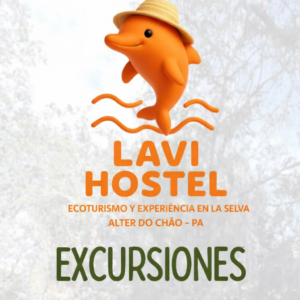 Excursiones en Santarém Qué Hacer, Principales Rutas y Experiencias en la Amazonía