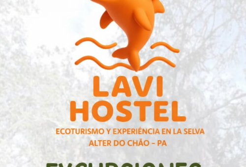 Excursiones en Santarém Qué Hacer, Principales Rutas y Experiencias en la Amazonía