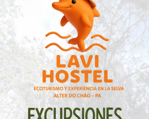 Excursiones en Santarém Qué Hacer, Principales Rutas y Experiencias en la Amazonía