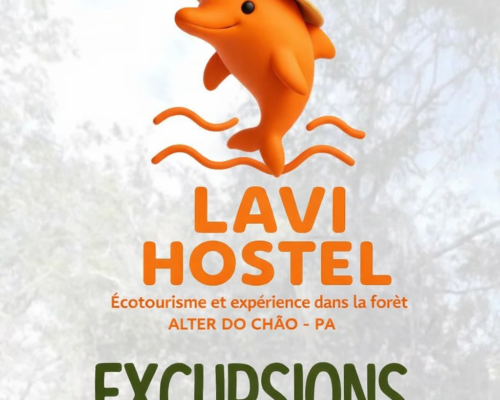 Excursions à Santarém Que faire, itinéraires incontournables et expériences en Amazonie