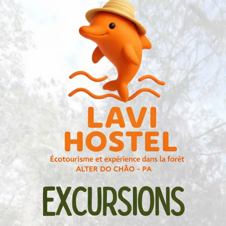 Excursions à Santarém Que faire, itinéraires incontournables et expériences en Amazonie