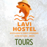 Tours in Santarém What to Do, Top Itineraries and Experiences in the Amazon