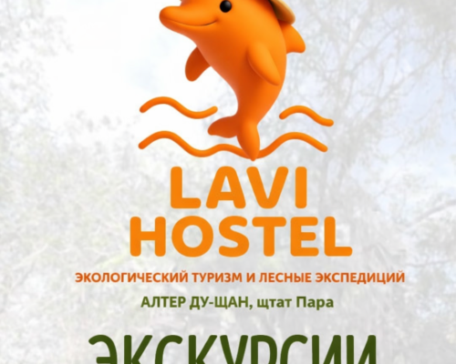 Экскурсии в Сантарене чем заняться, основные маршруты и впечатления в Амазонии