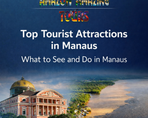 Top Tourist Attractions in Manaus – What to See and Do in Manaus