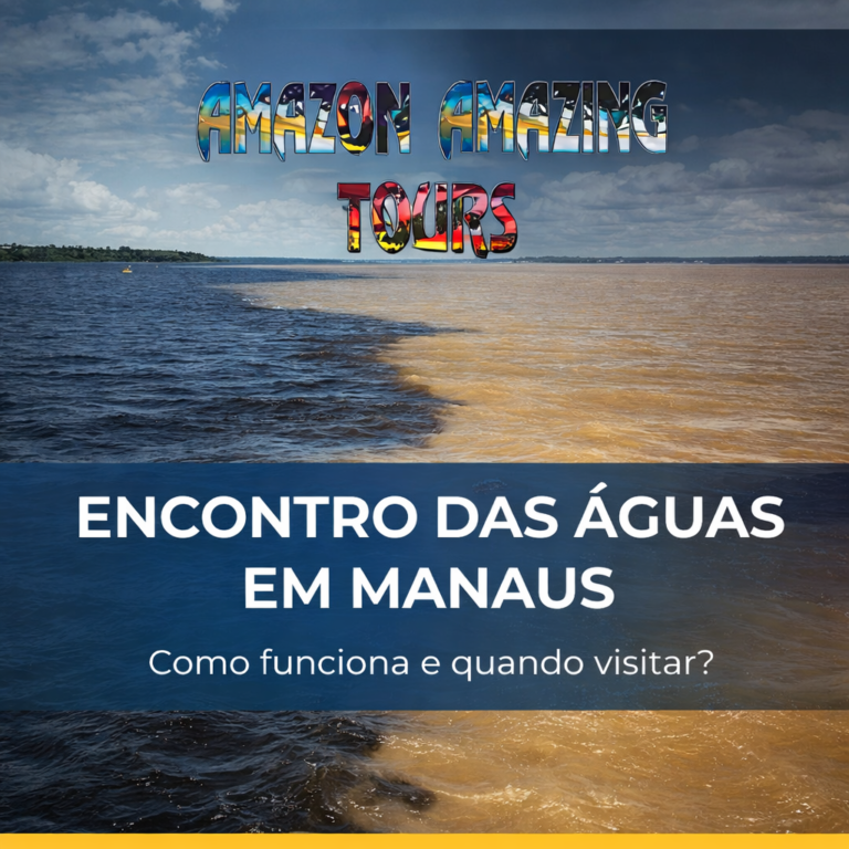 Encontro das Águas em Manaus como funciona e quando visitar - Manaus Jungle Tours