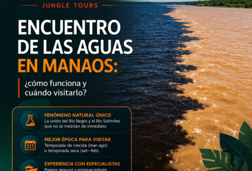 Encuentro de las Aguas en Manaos ¿cómo funciona y cuándo visitarlo