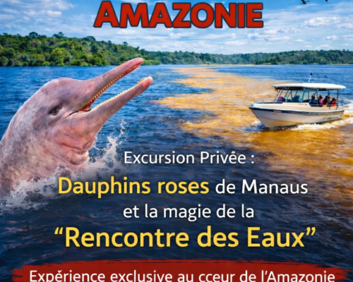 Excursion privée Rencontre avec les dauphins roses et le phénomène de la Rencontre des Eaux à Manaus – quand l’Amazonie cesse d’être une destination pour devenir une véritable expérience