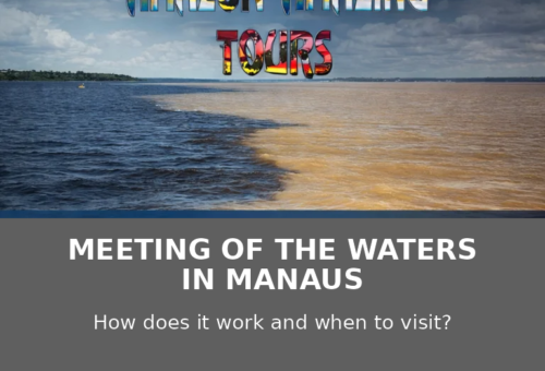 Meeting of the Waters in Manaus How It Works and When to Visit