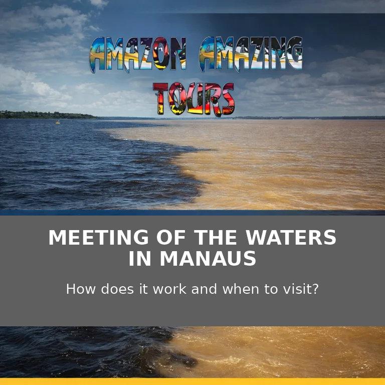 Meeting of the Waters in Manaus How It Works and When to Visit