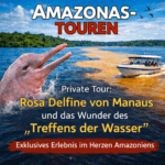 Private Tour Die rosa Delfine von Manaus und das Wunder des„Treffens der Wasser“ – ein exklusives Erlebnis im Herzen Amazoniens