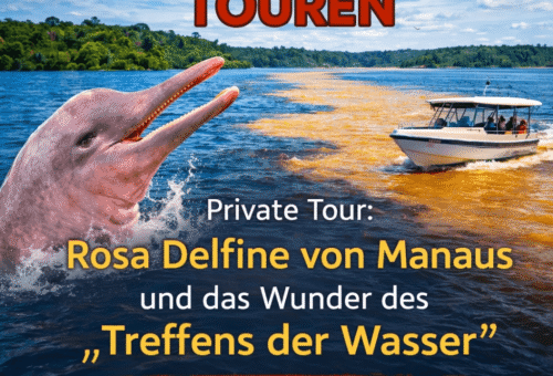 Private Tour Die rosa Delfine von Manaus und das Wunder des„Treffens der Wasser“ – ein exklusives Erlebnis im Herzen Amazoniens