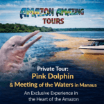 Private Tour Pink River Dolphins & the Meeting of the Waters in Manaus – An Exclusive Experience in the Heart of the Amazon