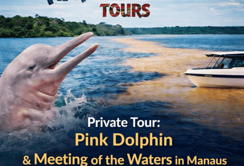 Private Tour Pink River Dolphins & the Meeting of the Waters in Manaus – An Exclusive Experience in the Heart of the Amazon