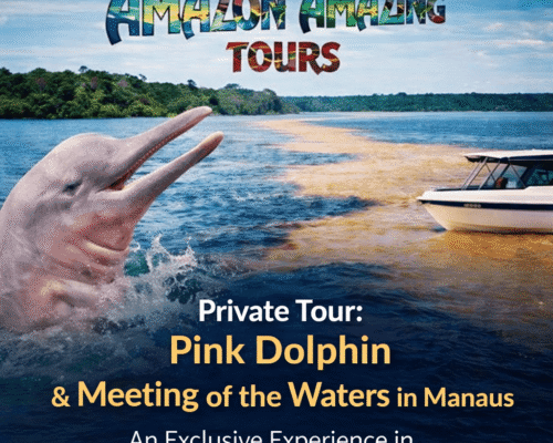 Private Tour Pink River Dolphins & the Meeting of the Waters in Manaus – An Exclusive Experience in the Heart of the Amazon