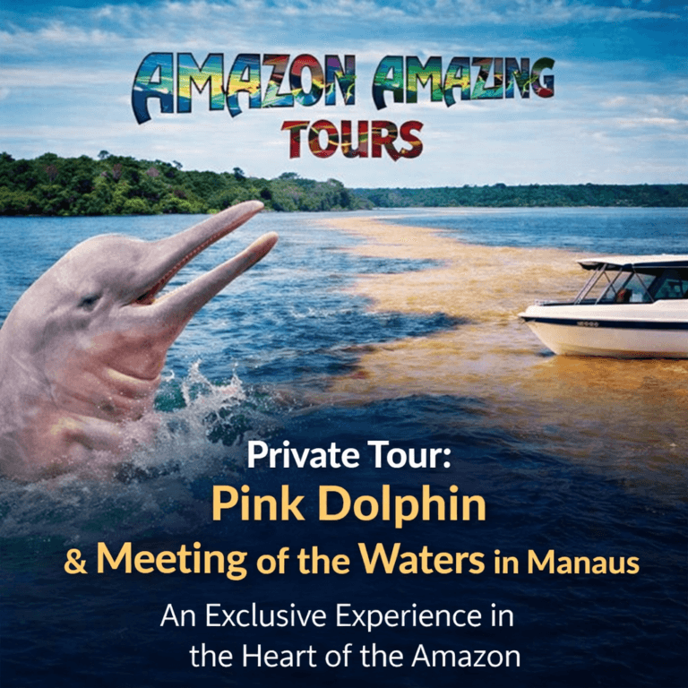 Private Tour Pink River Dolphins & the Meeting of the Waters in Manaus – An Exclusive Experience in the Heart of the Amazon