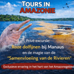 Privé-excursie Ontmoeting met roze dolfijnen en het fenomeen van de Samenvloeiing van de Rivieren in Manaus – wanneer de Amazone ophoudt een bestemming te zijn en een echte ervaring wordt