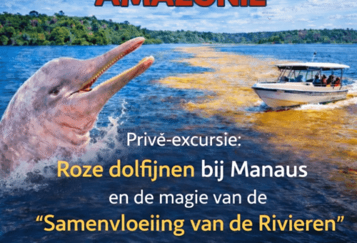 Privé-excursie Ontmoeting met roze dolfijnen en het fenomeen van de Samenvloeiing van de Rivieren in Manaus – wanneer de Amazone ophoudt een bestemming te zijn en een echte ervaring wordt