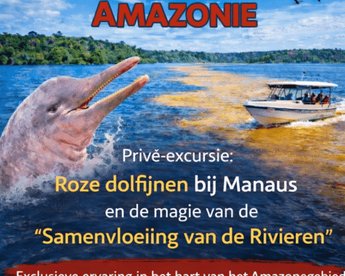 Privé-excursie Ontmoeting met roze dolfijnen en het fenomeen van de Samenvloeiing van de Rivieren in Manaus – wanneer de Amazone ophoudt een bestemming te zijn en een echte ervaring wordt