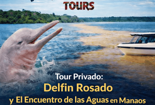 Tour Privado Delfines Rosados y el Encuentro de las Aguas en Manaos – Una Experiencia Exclusiva en el Corazón del Amazonas
