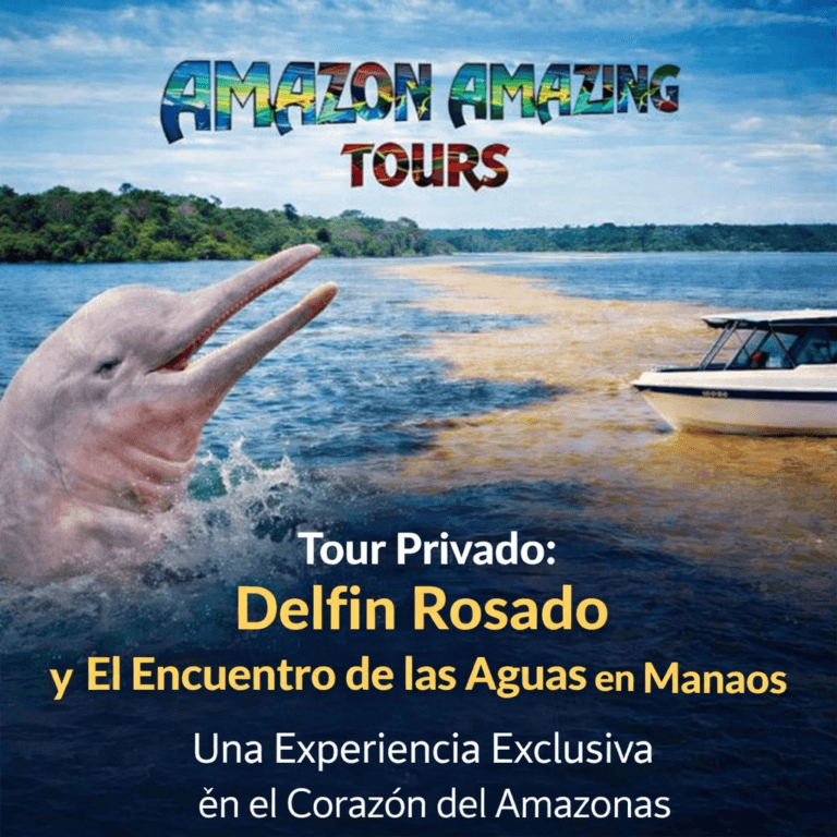 Tour Privado Delfines Rosados y el Encuentro de las Aguas en Manaos – Una Experiencia Exclusiva en el Corazón del Amazonas