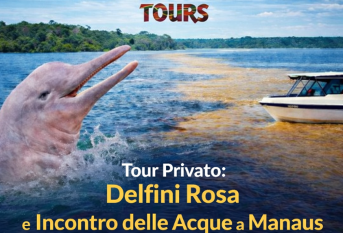 Tour Privato Delfini Rosa e l’Incontro delle Acque a Manaus – Un’Esperienza Esclusiva nel Cuore dell’Amazzonia